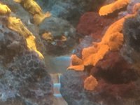 IMG_0344.jpg