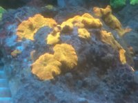 IMG_0343.jpg