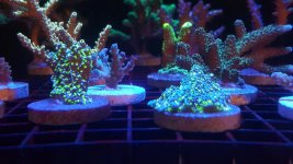 20161126_233906.jpg