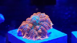 20161120_131204.jpg