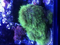 4F2792F7-6672-46F7-8017-494857451CC3.jpg
