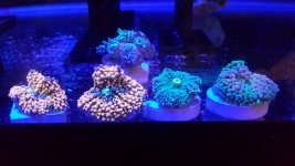20161120_221227.jpg