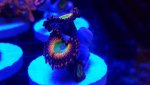 20161120_220716.jpg