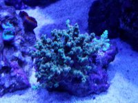 20170410_164734.jpg