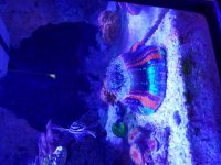 20170504_161808.jpg