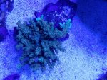 20170410_164644.jpg