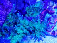 20170410_164630_027.jpg