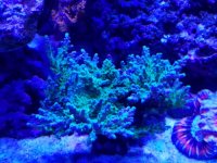 20170410_164533.jpg