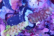 IMG_20171206_161912.jpg