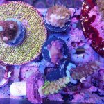 IMG_20171206_161835.jpg