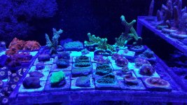 20171206_155453.jpg
