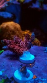 20170621_184456.jpg