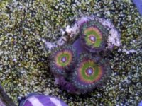 20170410_115103.jpg