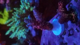 20170621_184005.jpg