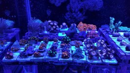 20171206_155456.jpg