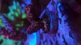 20170621_183957.jpg