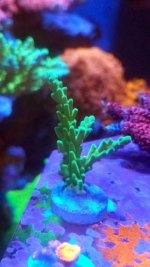 20170621_184524.jpg