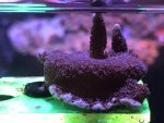 9731C3F5-70E2-4FBB-AC31-C2C4CBF2ADB2.jpg