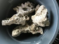 IMG_2053.jpg