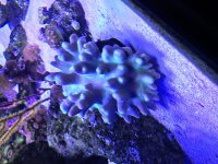 IMG_4102.jpg