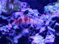 20161125_134631.jpg
