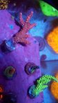 20170908_191350.jpg