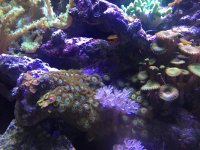 IMG_5264.jpg