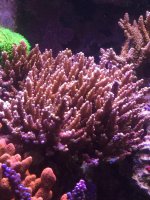 IMG_3071.jpg