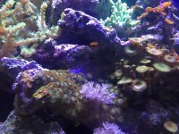 IMG_5266.jpg