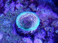 20180520_011628.jpg