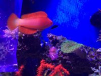 IMG_6387.jpg