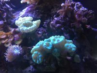 IMG_5267.jpg