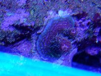 20180520_011612.jpg