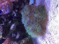 IMG_7034.jpg