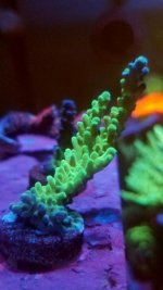 20170908_191138.jpg