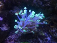IMG_5268.jpg