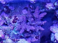 20180520_011517.jpg
