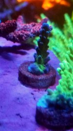 20170908_191231.jpg