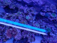 20180520_011415.jpg