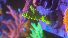 20170908_190904.jpg