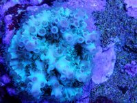 20180520_011138.jpg