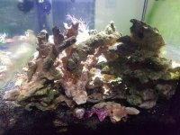 20170908_211738.jpg