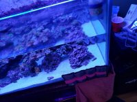 20180520_011030.jpg