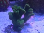 IMG_5275.jpg