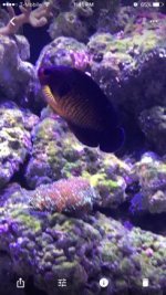 IMG_4669.jpg