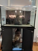 MVIMG_20180225_205414.jpg