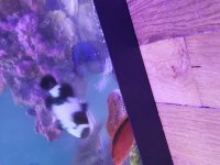 20180520_094543.jpg