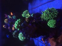 IMG_9133.jpg