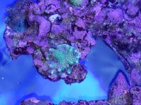 20180520_211336.jpg