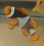 20171207_223332.jpg